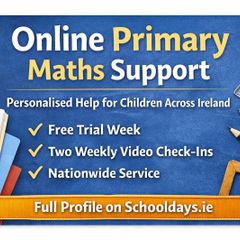 Primary Maths Support