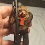5 X Peter Figuren 1950's Mecki Hedgehog figures. Image 6