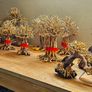 Bonsai Tree Baobab Style Large Image 3