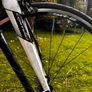 Giant Contend 2 (2017) Image 2