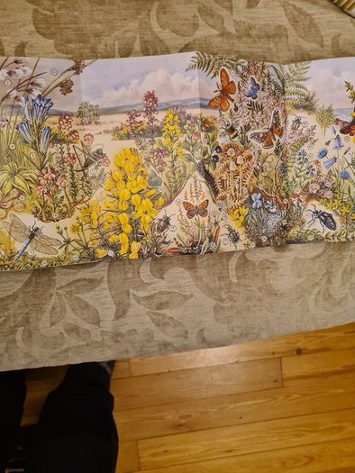In Search Of Heathland By  Lee Chadwick.