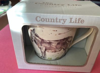 Fine China Mug