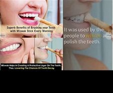 Miswak natural toothbrush