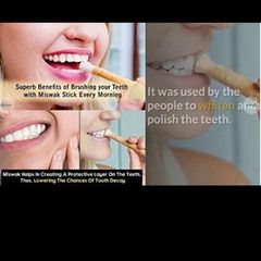 Miswak natural toothbrush