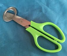 Egg scissors