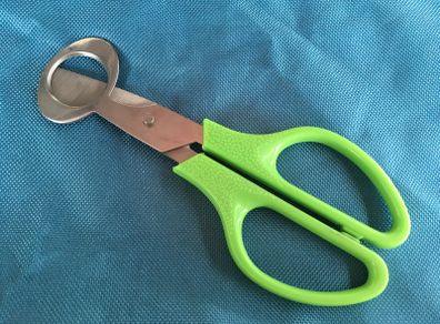 Egg scissors