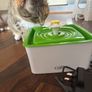 Cat Water Fauntain Image 5