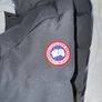 Canada Goose Image 5