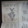 Aquarium book Image 5