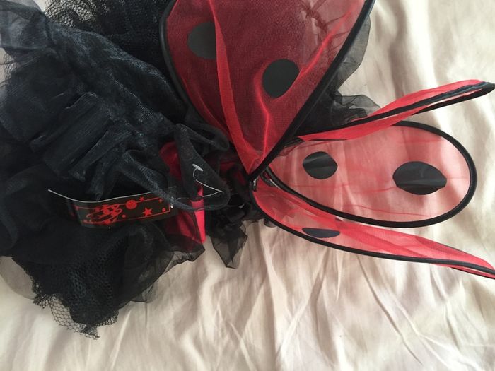 Brand New Ladybird Costume age 2
