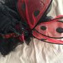 Brand New Ladybird Costume age 2 Image 7