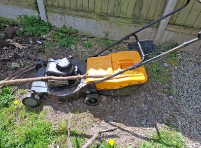 Petrol Lawn
