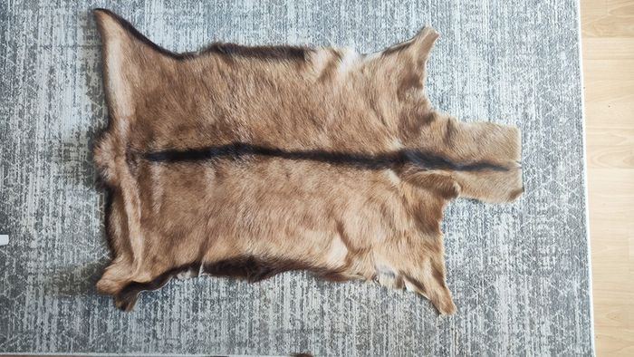 Genuine deer hide rugs