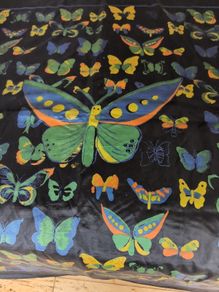 Butterfly Scarf