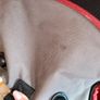 Metropolis Luggage Bundle Image 8