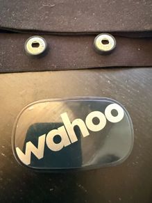 Wahoo tickr