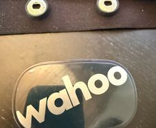 Wahoo tickr