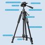 Professional Camera Tripod - Max Height 55 Inches Image 3