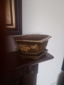 bonsai planter