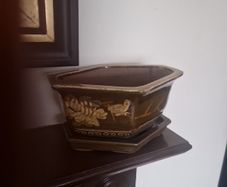 bonsai planter