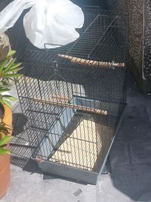 bird cage