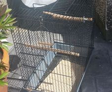 bird cage