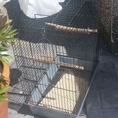 bird cage
