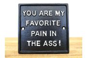Favorite Pain In The Ass D11514
