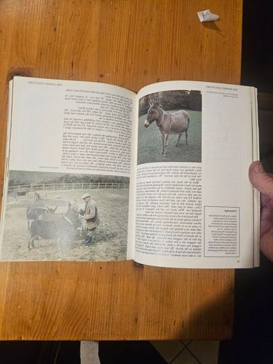 A Passion For Donkeys. By Dr Elizabeth D. Sevendsen. Large Volume Paperback In Good Condition.  See Photos For Same.