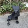 buggy Image 4