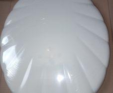 Toilet seat