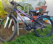 Power Pearl 24 inch girls mountain bike