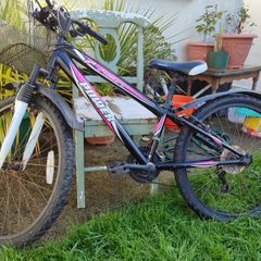 Power Pearl 24 inch girls mountain bike