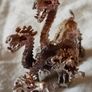 Dragons Image 10
