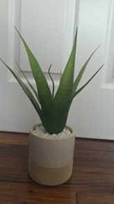 Artificial Aloe Vera Plant