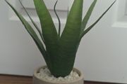 Artificial Aloe Vera Plant