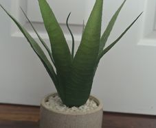 Artificial Aloe Vera Plant