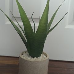 Artificial Aloe Vera Plant