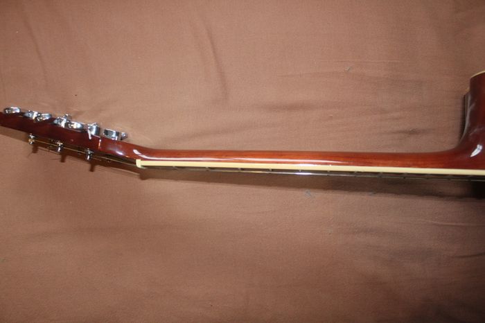 Washburn D10SCE Cutaway Acoustic Guitar