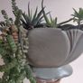 vintage planter plant arrangement in the ceramic pot Image 4