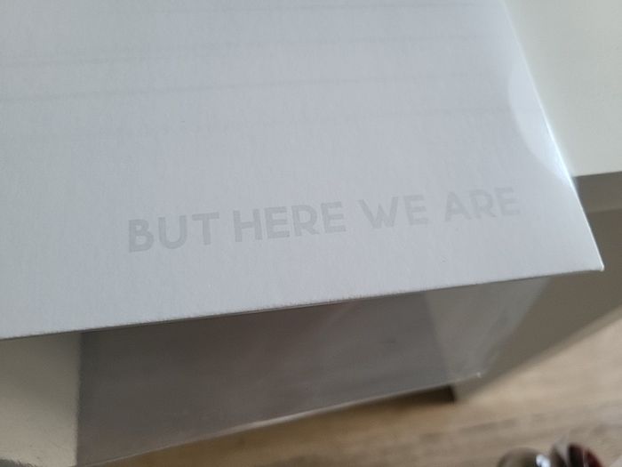 The Foo Fighters but here we are White vinyl