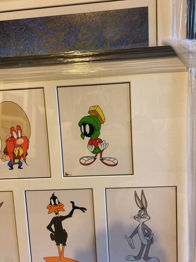 Warner Brother Studio Sericels