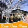 Christmas Tree Lights Outdoor, 20m 200 LED Fairy Lights Mains Powered, Cool White Waterproof String Light with Plug/Remote/Modes/Timer, Bright Lighting Outside Indoor Garden Xmas Decorations Image 4