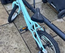 Ridgeback kids 16 inch