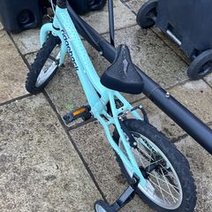 Ridgeback kids 16 inch