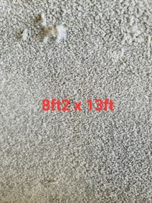 carpet 8ft2 x 13ft
