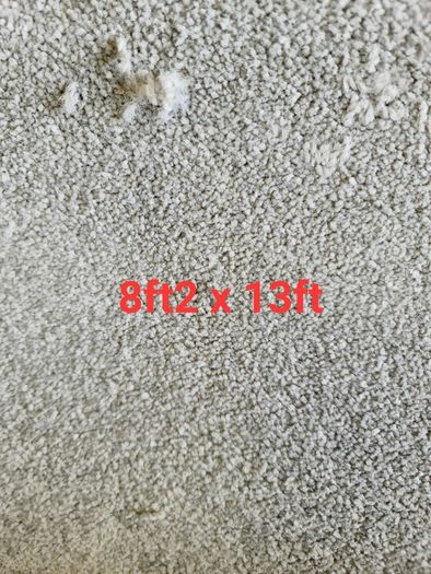 carpet 8ft2 x 13ft