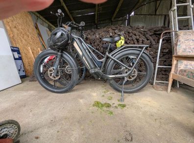 Fiido Titan Cargo e-bike