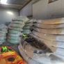 Huge selection of single and family kayaks Image 3