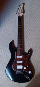 Cort g110